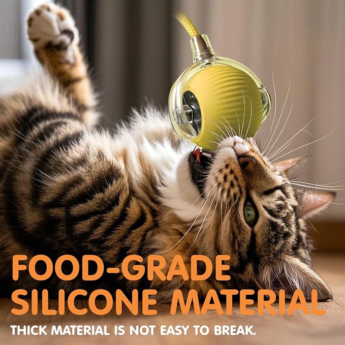 Rocfish Durable Interactive Cat Toys for Indoor Cats (Yellow, 01)