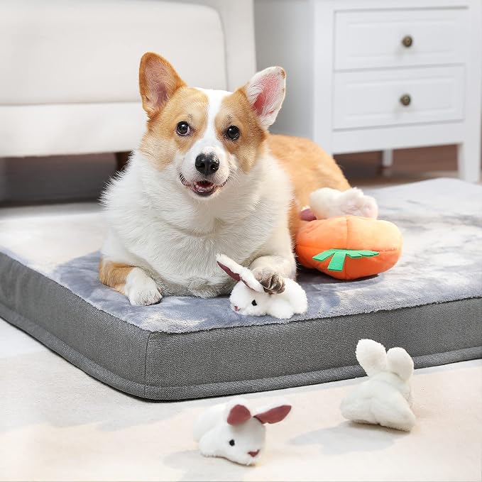 Amazon Basics Interactive Hide and Seek Squeaky Dog Plush Toy with Squeaker for Small Dogs, Rabbit and Carrot, Orange and White, 5-Pack
