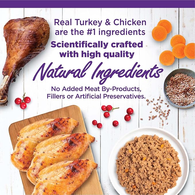 Wellness Complete Health Pate Variety Pack Adult Canned Wet Cat Food, Natural, Protein Rich, Grain Free, Chicken and Turkey Favorites, 5.5 oz, Pack of 12 Cans