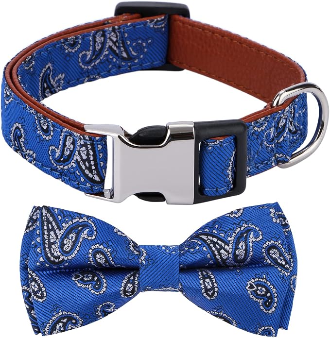 Bowtie Dog Collars Blue Paisley Pattern Medium