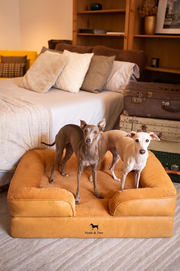 NOAH & PAW Large Dog Bed, 35x25x11 Inch, Orthopedic Dog Beds, Eggshell Memory Foam Infused with Cooling Gel, Inner Cover, Water Resistant, Machine Washable (Faux Leather)
