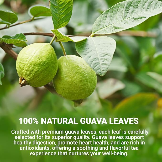 LeafLea Guava Leaf Tea Bags, Te De Guayaba, Sugar-Free, 80 Count | Real Hojas De Guayaba, Naturally Sweet And Caffeine-Free — Foil-Sealed Per Bag, 80 Bags To Keep And Share