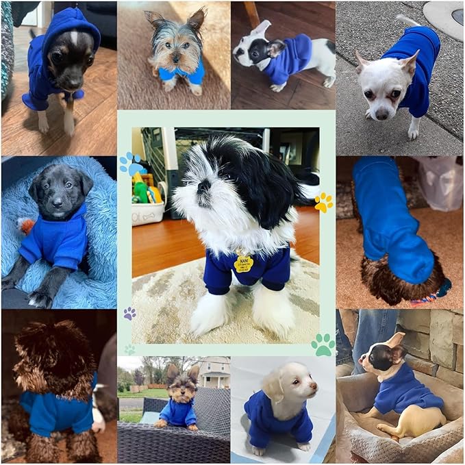 Soft Dog Hoodies for Small Dogs, Warm Fleece Puppy Clothes with Pocket | Jecikelon cold weather coat, cute puppy costume, breathable sweatshirt for dogs girl & boy, machine washable, easy on & off