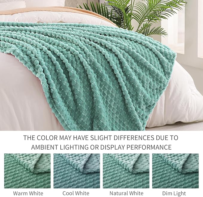 Exclusivo Mezcla 3D Fleece King Size Blanket for Bed, Celadon | Extra Soft Fuzzy Plush Lightweight Bed Blankets, Cozy Fluffy Decorative Blankets for All Seasons, 90x104 Inches