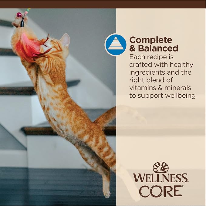 Wellness CORE Tiny Tasters Flaked Adult Wet Cat Food, Natural, Protein Rich, Grain Free, Tuna and Shrimp Recipe, 1.75 oz, Pack of 12 Pouches