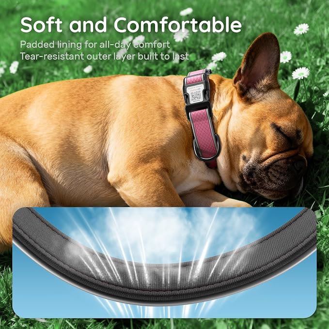 Reflective Dog Collar with QR Code Tag,Neon Pink S (9.8"-15.7")