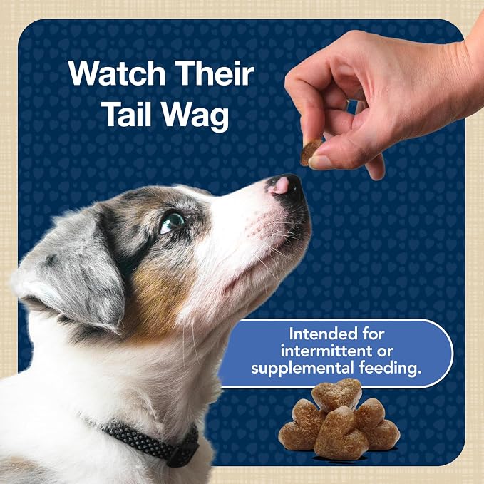Blue Buffalo Bits Chicken Training Treats, 4 oz | Real Chicken First, DHA for Cognitive Development, No Chicken By-Product Meals, Free from Red Dye 40
