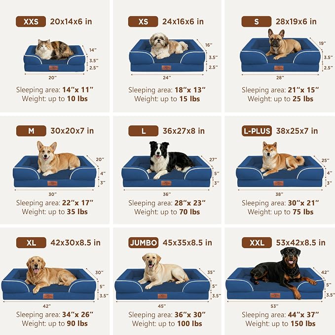Comfort Expression Waterproof Orthopedic Dog Bed for Medium Size Dog | Supportive Egg Crate Foam Medium Pet Bed with Removable Bolsters, Dog Couch with Washable Cover & Non-Slip Bottom, 30x20 Inch