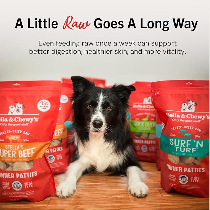 Stella & Chewy's Freeze-Dried Raw Dinner Patties - Duck Duck Goose Recipe - High Protein Grain-Free Puppy & Dog Food - Perfect for Picky Eaters - 14 oz