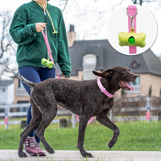 azuza Nylon Dog Collar and Leash Set, Strong & Durable Basic Style Leash and Collar with ID Tag Ring, Available in Multiple Lengths for Small Dogs, Pink,S