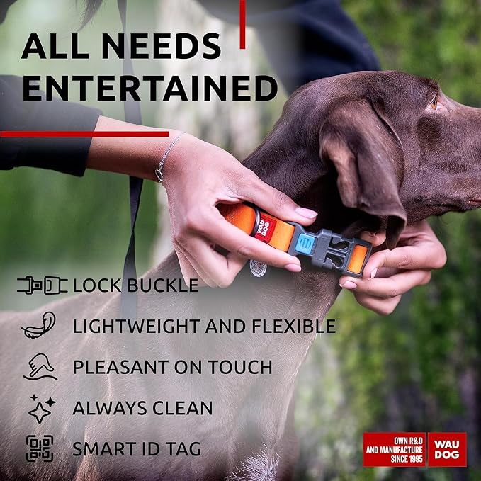 WAUDOG Waterproof Dog Collar Airtag Holder QR Tag Small Medium Large Dogs | Water and Dirt Resistant, Quick Dry QR Pet Tag Adjustable Durable Comfort for Male and Female Dogs Outdoor Walking Training