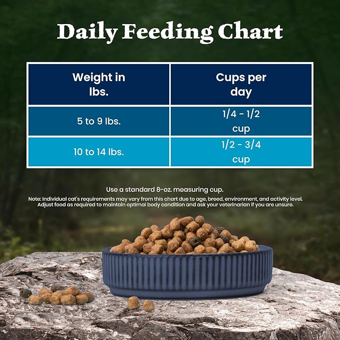 Blue Buffalo Wilderness Chicken Adult Dry Cat Food, Grain-Free, 15 lb | Real Chicken #1 Ingredient, High Protein Nutrition, Supports Immunity with Antioxidant-Rich LifeSource Bits