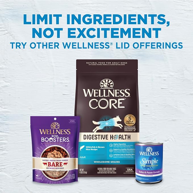 Wellness Simple Limited Ingredient Diet Adult Dry Dog Food, Wholesome Grain Kibble, Sensitive Stomach, Skin & Coat Support, Natural, Chicken Free, Duck and Oatmeal Recipe, 26 lb Bag