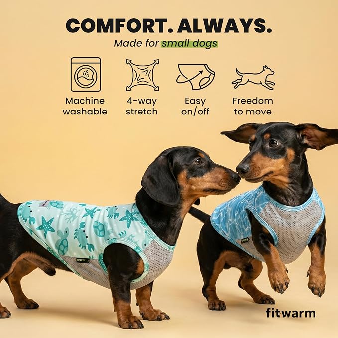 Fitwarm 2 Pack Marine UPF 50+ UV Sun Protection Dog Shirt, Lightweight Cooling Vest, Quick Dry Summer Clothes for Small Dogs Boy Girl, Pet Outfit, Sky Blue, Mint Green, XS