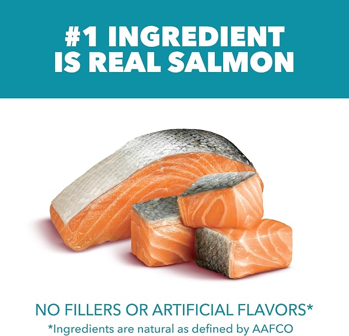 IAMS Proactive Health Indoor Dry Cat Food, Salmon, 7 lb | Veterinarian-recommended, #1 ingredient real salmon, reduces hairballs, supports healthy weight, boosts immune system