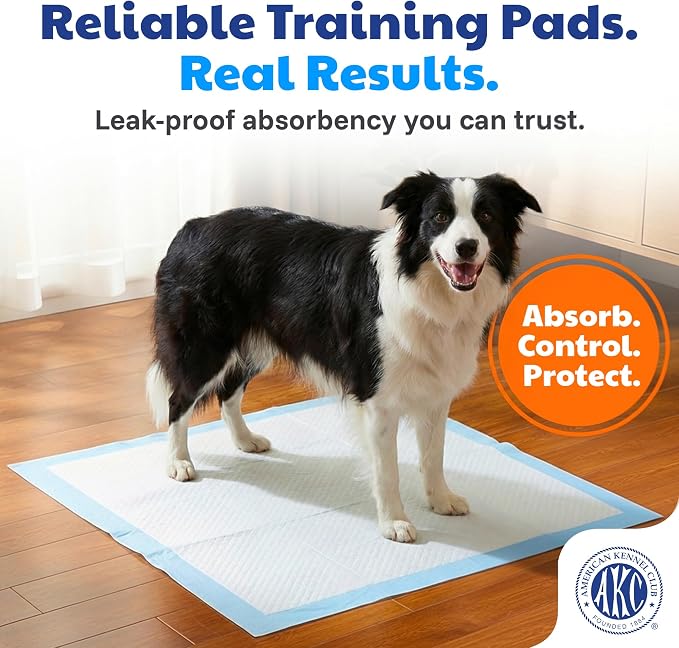 AKC Dog Training Pads, Unscented, XL 28" x 30", 50 Count | Unscented dog pee pads help control odors with ultra absorbent quick-dry gel, leakproof layers and potty training protection.