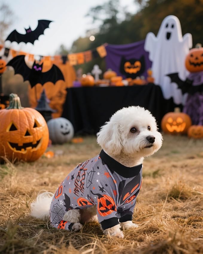 PET SHOW 4 Pack Halloween Fleece Dog Pajamas Warm for Extra Small Dogs | Soft stretchy dogs onesies,boy girl pjs with sleeve,holiday jumpsuit costume for small pets cats,XS