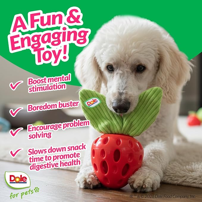 Dog Puzzle Toy with Crinkle Squeak Insert, Dog Enrichment Toys, Strawberry Dog Treat Toy, Great Mental Stimulation for Dogs