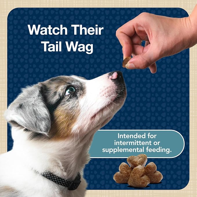 Blue Buffalo Bits Soft Dog Treats for Training, Made with Natural Ingredients & Enhanced with DHA, Turkey Recipe, 4-oz Bag (Pack of 6)