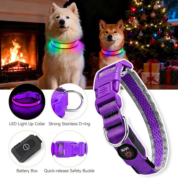 LED Dog Collar, Light Up Dog Collar,for Night Walking(Small,Purple) | Adjustable,Bright RGB 7 Colors Light Glowing Collar,Waterproof,Nylon,Soft,For Small and Medium Dogs,USB C to Charge