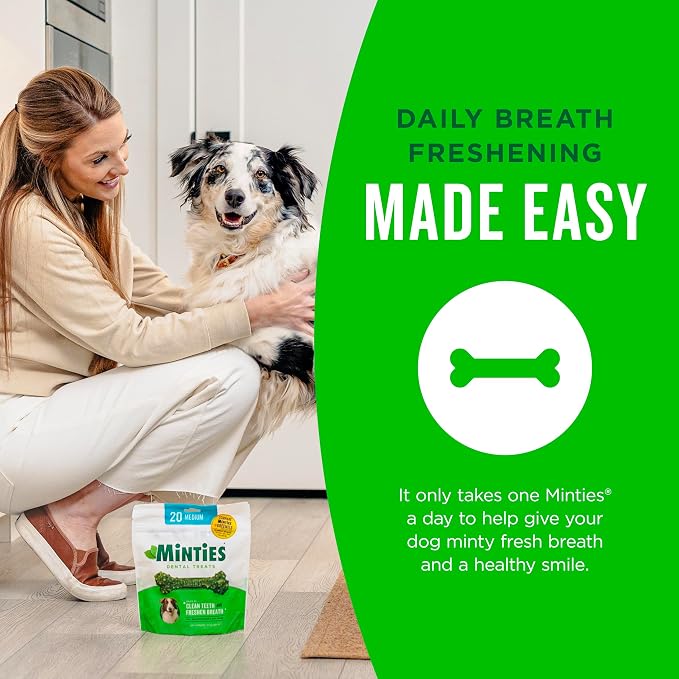 Minties Dental Chews for Dogs, 12 Count, Vet-Recommended Mint-Flavored Dog Treats for Large Breeds Over 50 lbs, Dental Bones that Clean Teeth, Fight Bad Breath, and Remove Plaque and Tartar | Vet-recommended mint dental bone; scrubs teeth as dogs chew;...