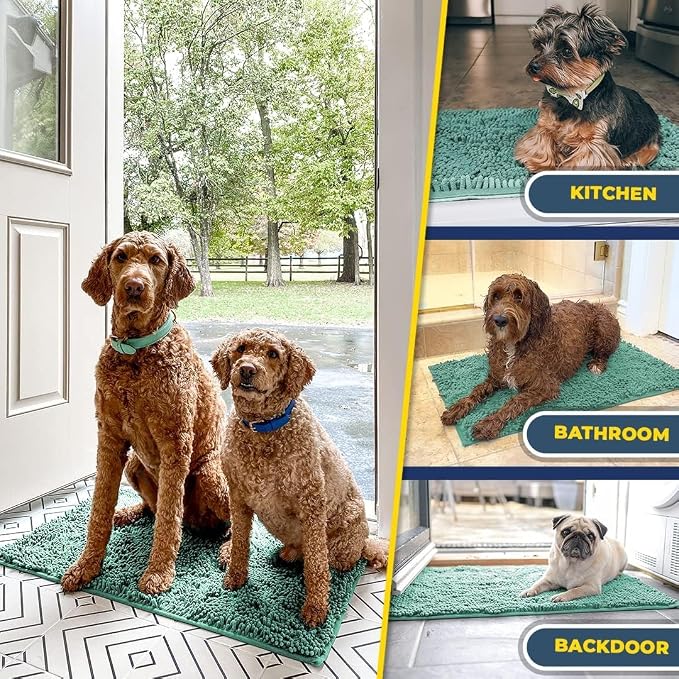 Muddy Mat® | Super Water Absorbent Door Mat Indoor, Microfiber Quick Dry Chenille Entryway Rug, Slip Resistant Front Door Mat, Indoor Mats for Entryway, Machine Washable Pet Rug, Sea Green 36"x60"