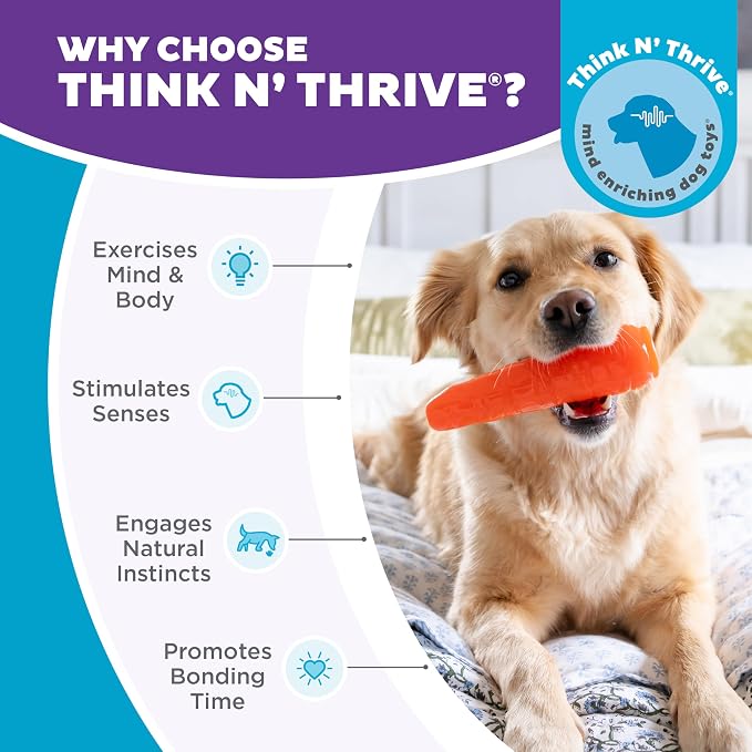 Outward Hound by Planet Dog Foodies Carrot Treat-Dispensing Dog Chew Toy, Orange