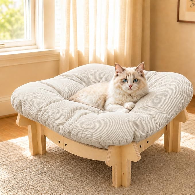 Elevated Cat Bed, Wooden Pet Sofa with Washable Cushion (Square / Beige) | Soft Beds with Extra Filling prevent flattening, Stable Wooden Frame Couch supports 50 lbs for Indoor Cats, Kitty & Puppy.