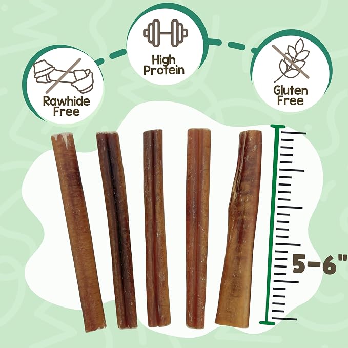 Nature Gnaws Large Bully Sticks 11-12" Rawhide Free Dog Chews, 5 Count | Thick Long Lasting for Aggressive Chewers and Large Dogs - Natural Beef Dog Chew Bones - No Artificial Preservatives