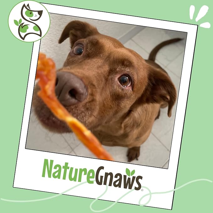 Nature Gnaws USA Turkey Tendons Dog Treats, 4 oz