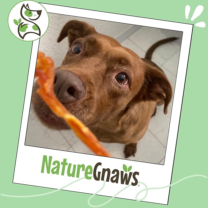 Nature Gnaws USA Turkey Tendons Dog Treats, 8 oz | Grain Free Reward Snack for Small, Medium & Large Breeds - Premium Natural Dog Chew Treats - No Artificial Preservatives