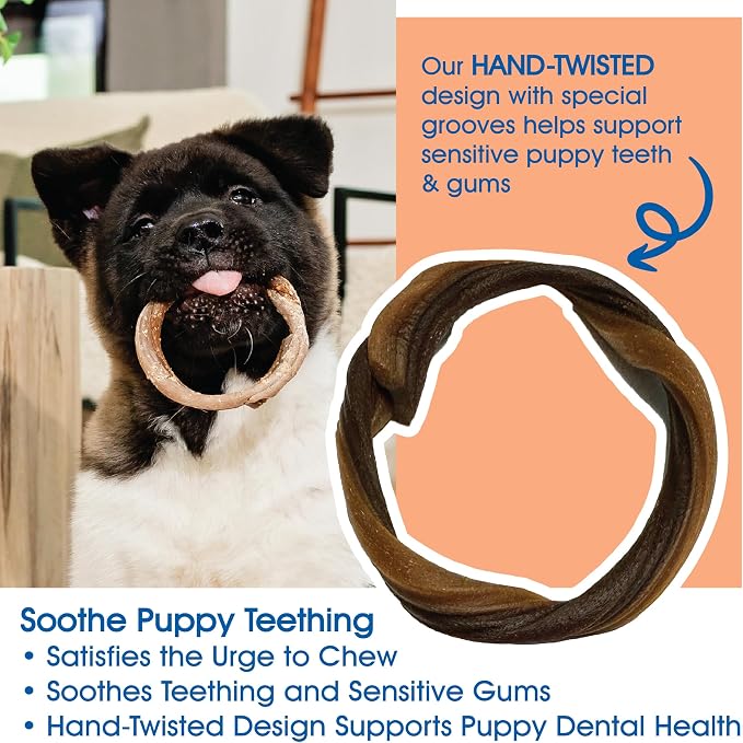 N-Bone Puppy Teething Rings, Taste of Texas Pulled Pork Flavor, Natural Puppy Teething Chews, Helps Soothe Teething Gums, Calcium Enriched Chew Treats, 3 Rings