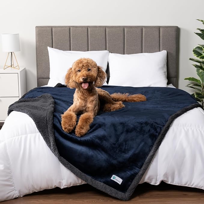 PetAmi Waterproof Dog Blanket for Large Dog Pet, 90x90 Queen, Blue Grey | 460 GSM Sherpa Fleece Reversible, Pee Proof Cat Blanket, Furniture Protector Cover for Bed Sofa Kennel, Washable, Queen Size