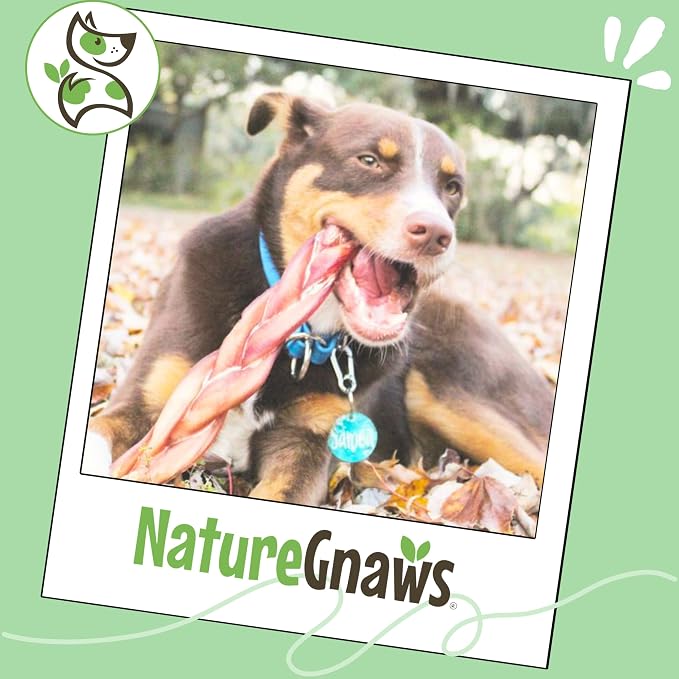 Nature Gnaws Braided Bully Sticks 11-12" for Large Dogs, 5 Count