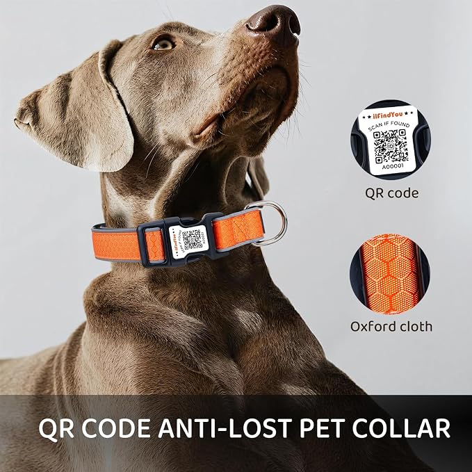 Personalized Dog Collar with QR Code Dog Tag, Oxford Orange M | Anti-lost, Oxford, reflective, padded, XS-L(8"-24"), QR buckle shares lost pet profile, location alerts when scanned, No Fees