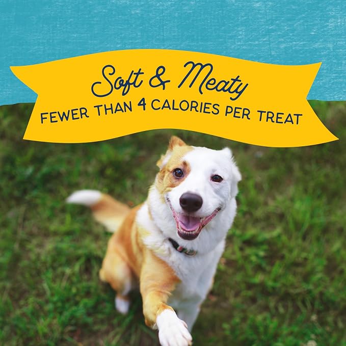 Natural Balance Rewards Minis, Training Treats for Dogs, Turkey, 5.3 oz | Grain-Free Treats, Limited-Ingredient Recipe, Perfectly Sized for Rewarding Dogs Through the Day