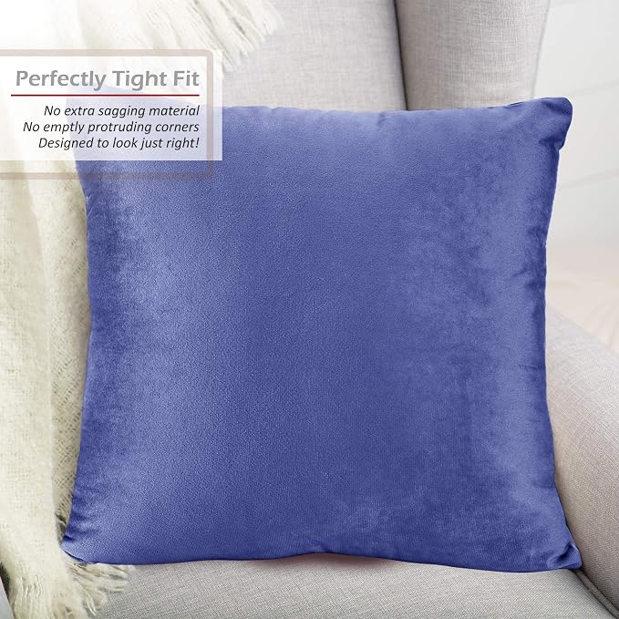 Throw Pillow Inserts Pack of 2 with Velvet Soft Solid Decorative Square Throw Pillow Covers Set for Sofa Couch Car Bedroom, 18X18 Throw Pillows Inserts with 16x16 Washable Cushion Covers, Calm Blue