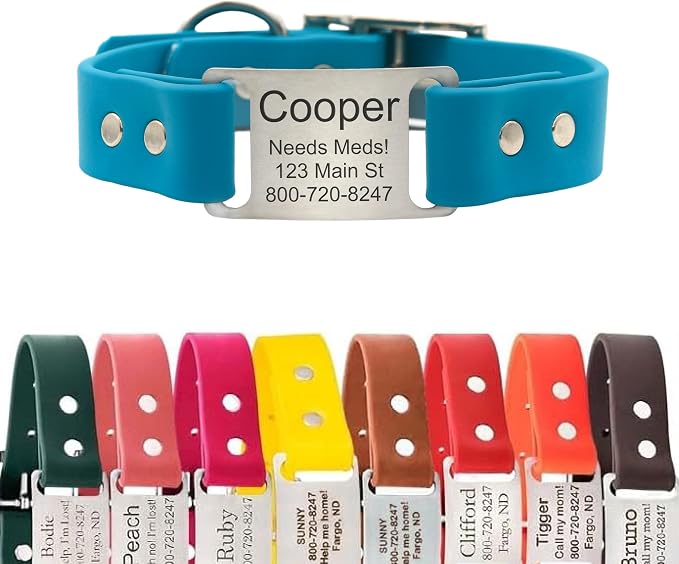 dogIDs Personalized Dog Collar – ScruffTag Custom Waterproof Biothane Dog Collar with Laser-Engraved Name, Durable & Odor-Resistant – USA Made | Tropical, 1 in x 16 in (Fits Neck Sizes 14-18 in)