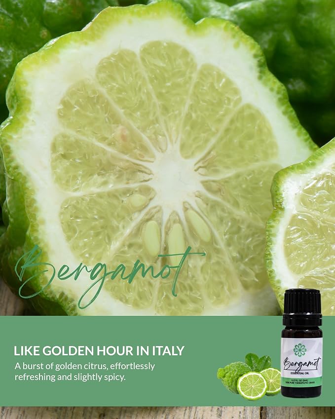 Essence Pearl Travel Case | Bergamot Essential Oil | Aromatherapy Nasal Diffuser & Essential Oil Carrying Case | Refreshing Citrus Scent | Travel-Friendly Kit | White Pod