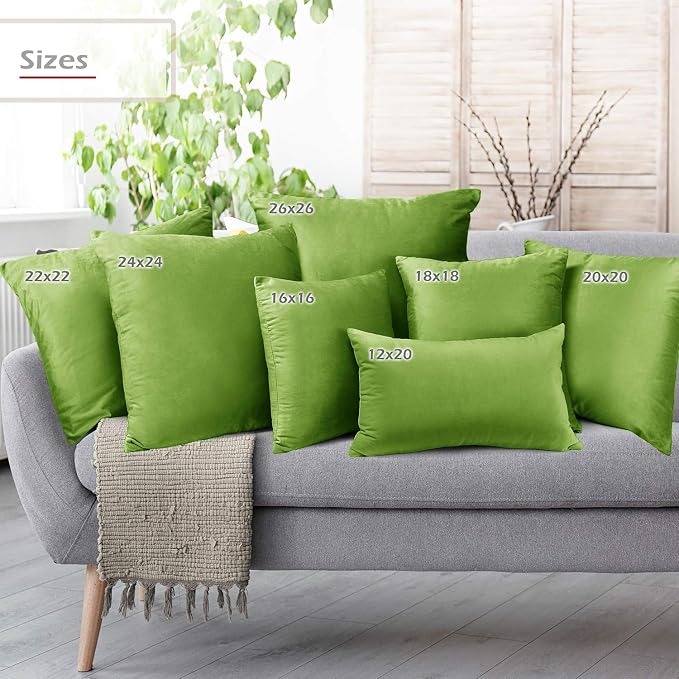 Throw Pillow Inserts Pack of 2 with Velvet Soft Solid Decorative Square Throw Pillow Covers Set for Sofa Couch Car Bedroom, 18X18 Throw Pillows Inserts with 16x16 Washable Cushion Covers, Garden Green