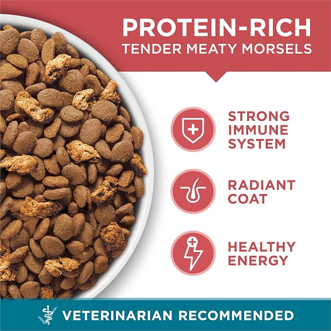Purina ONE Natural Dry Cat Food, Tender Selects Blend with Real Salmon - 22 lb. Bag