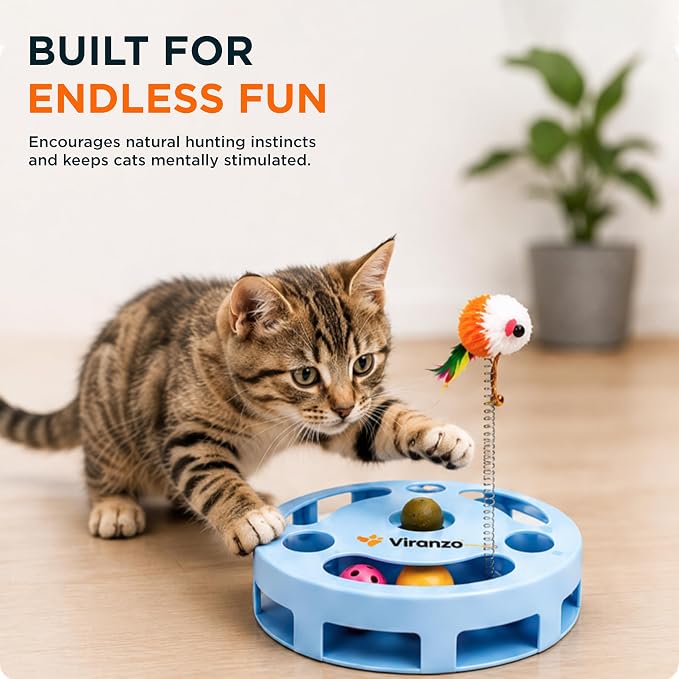 4 Interactive Cat Toy with Catnip Ball, Dual Rolling Balls & Feather Teaser