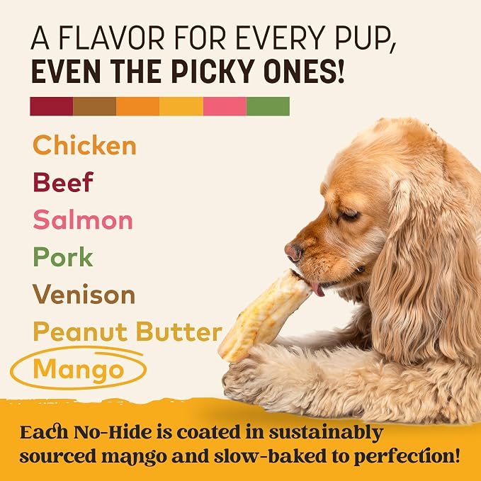 Earth Animal No Hide Dog Chews - Rawhide Free Small Rolls 6 Count Mango | Small Rolls Mango Flavored Natural Rawhide Free Long Lasting Dog Chews - Pet Treats for Small Dogs