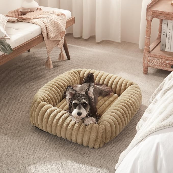 FURTIME Dog Bed Medium Size Dog, Washable Orthopedic Pet Bed with Removable Cover, Rectangle Soft Calming Sleeping Puppy Bed Durable Pet Cuddler with Anti-Slip Bottom, Beige, M Plus (30"x24"x8")