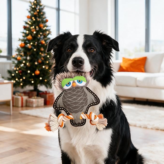 Tough Durable Squeaky Dog Toys for Aggressive chewers Interactive to Keep Them Busy, Funny Cute Tug of war Rope Birthday Dog Toy (Owl)