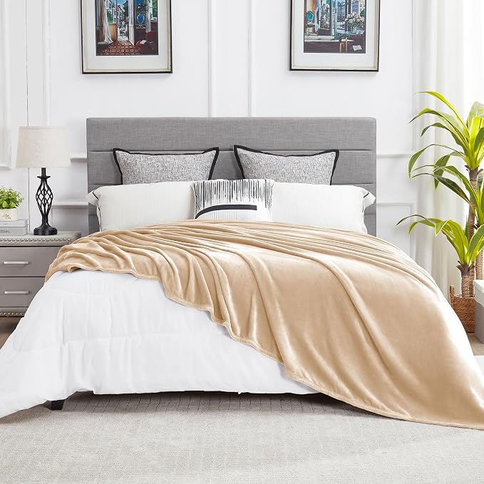 DREAMNINE Oversized Soft Fuzzy Fleece Throw Blanket Twin Size 60" x 80", Decorative Large Solid Lightweight Velvet Bed Blanket,Big Cute Cozy Accent Shaggy Microfiber Flannel Blankets for Bedroom,Beige