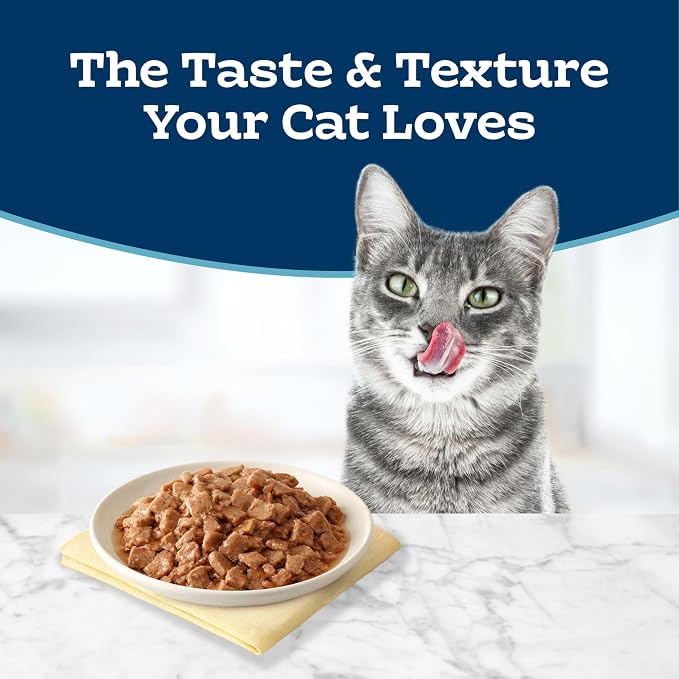Blue Buffalo Tastefuls Natural Tender Morsels Wet Cat Food, Chicken Entrée 5.5-oz cans (Pack of 24) | Real Chicken First, Tender Morsel Texture, No Chicken By-Product, Corn, Wheat, or Soy