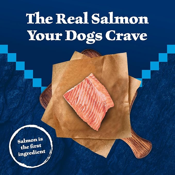 Blue Buffalo Wilderness Salmon Crunchy Dog Biscuits, Grain-Free, 10 oz | Real Salmon #1 Ingredient, Crunchy Biscuits, High Protein Nutrition, No Artificial Preservatives