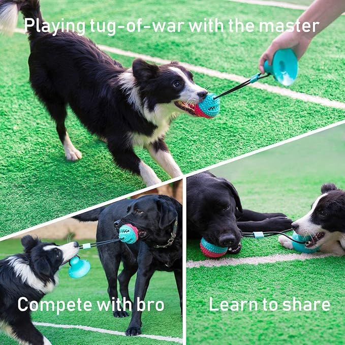 ALLRIER Dog Toys to Keep Them Busy for Boredom,Interactive Dog Toys Tug of War, Mentally Stimulating Toys for Dogs, Puppy Teething Puzzle Treat Food Dispensing Ball Toy for Small Medium Dogs