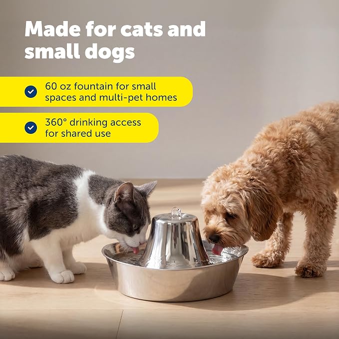 Seaside Stainless Cat & Dog Fountain with 4-Pack of Carbon Filters | 60 Oz Capacity with Extra Carbon Filters, Triple-Filter Operation, 360-Degree Flow, Rust-Resistant Stainless Steel